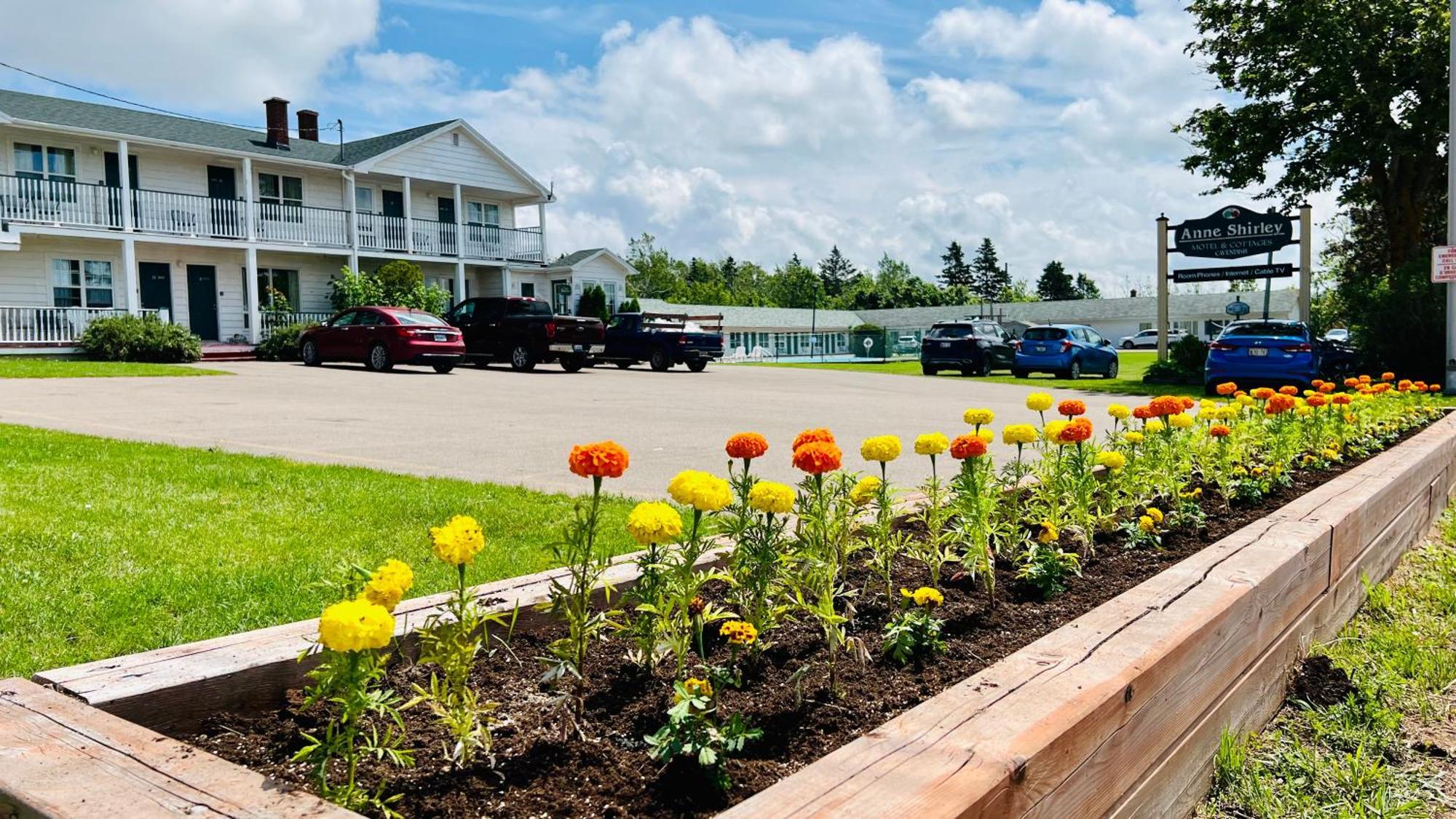 Anne Shirley Motel & Cottages Cavendish Dış mekan fotoğraf